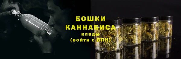 шишки Михайлов
