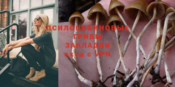 MDMA Premium VHQ Михайловка