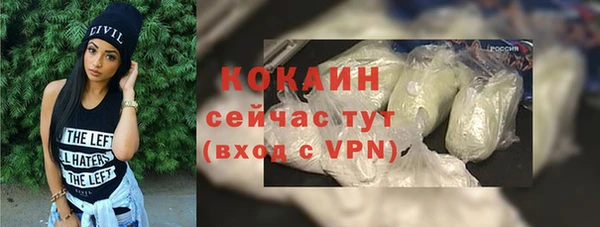 шишки Михайлов