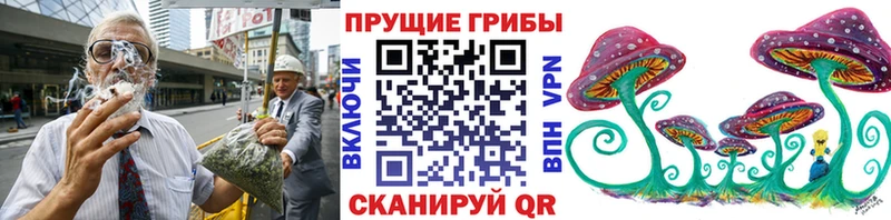 Псилоцибиновые грибы Psilocybe  Рыбинск 