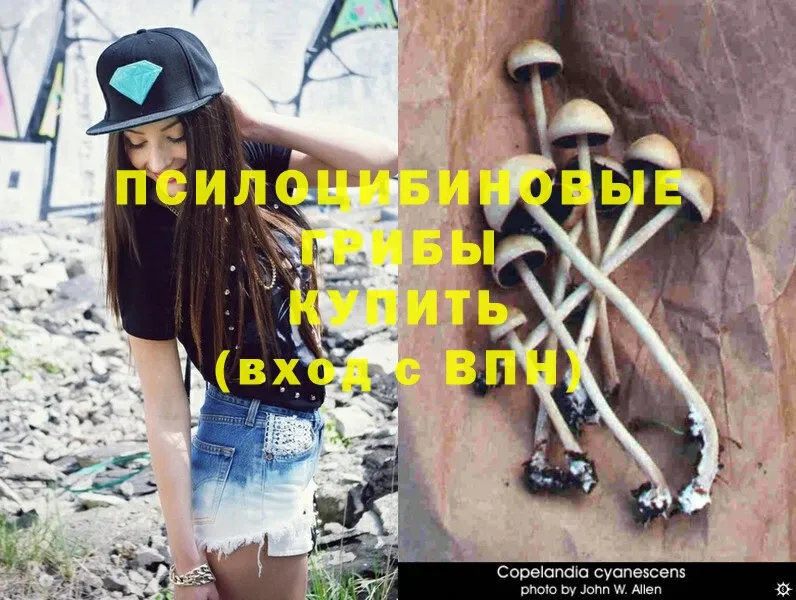 Псилоцибиновые грибы Psilocybine cubensis  ОМГ ОМГ как зайти  Рыбинск 