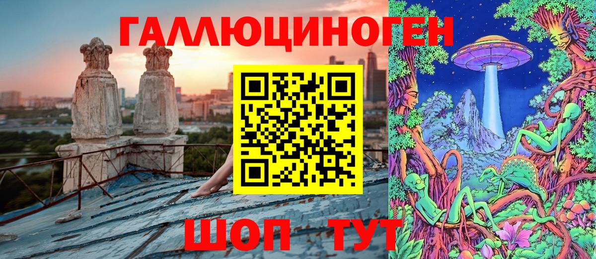 Галлюциногенные грибы Psilocybine cubensis  Псилоцибиновые грибы прущие грибы  Рыбинск 