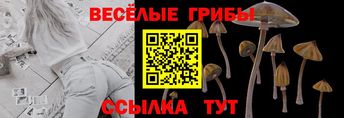 Галлюциногенные грибы мицелий  Вход с VPN  Псилоцибиновые грибы MAGIC MUSHROOMS  Рыбинск 